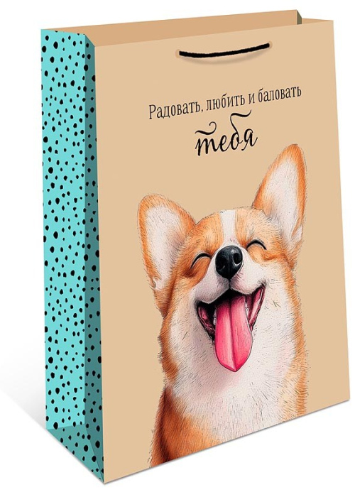 ПАКЕТ KAIRUI ПОДАРОЧНЫЙ БУМАЖНЫЙ БОЛЬШОЙ РАЗМЕР 30х40СМ